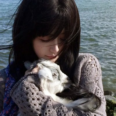 我爱灰太狼